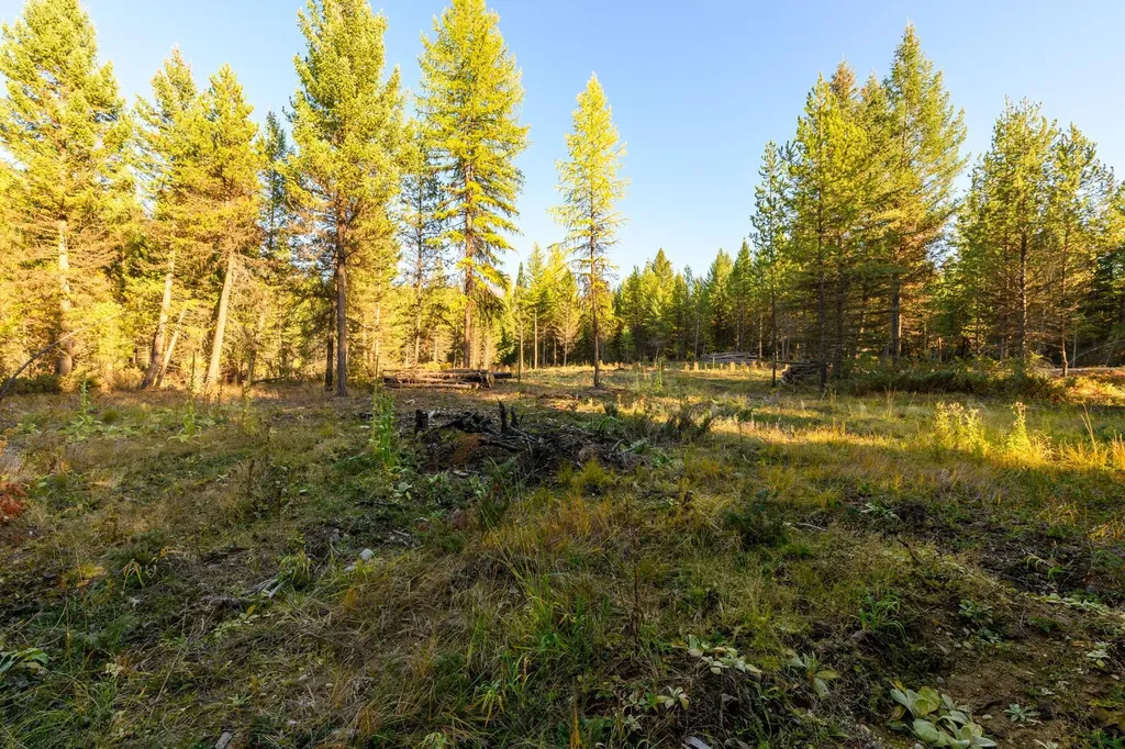 209 Turtle Trail Eureka MT 59917