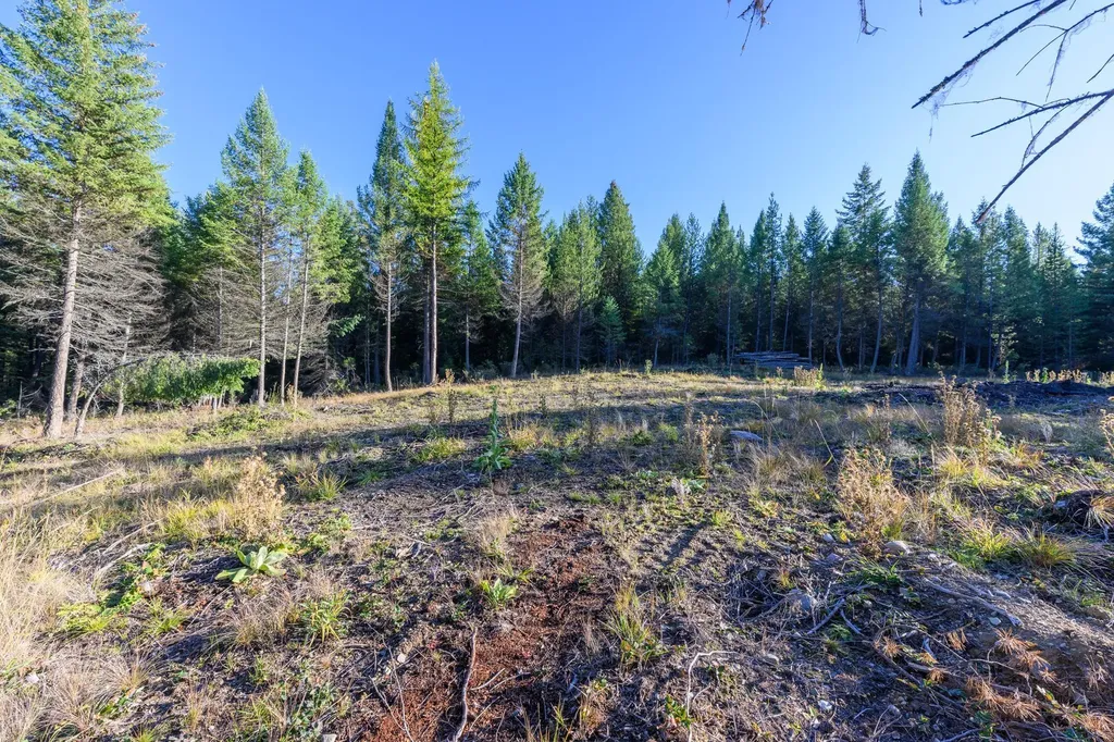 209 Turtle Trail Eureka MT 59917