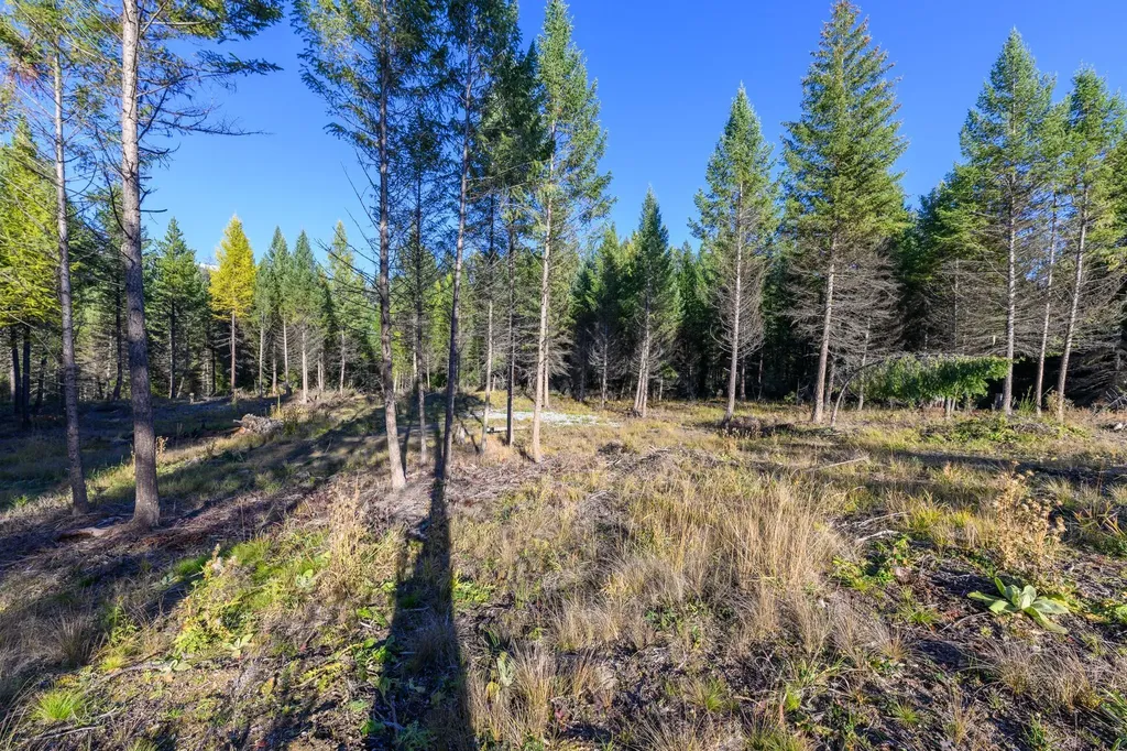 209 Turtle Trail Eureka MT 59917