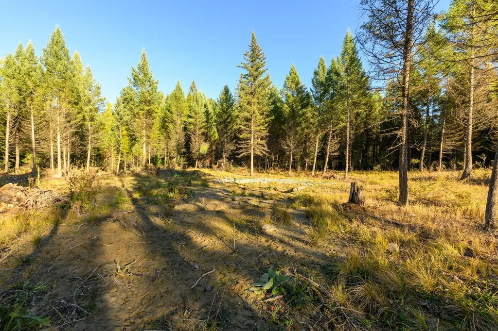 209 Turtle Trail Eureka MT 59917