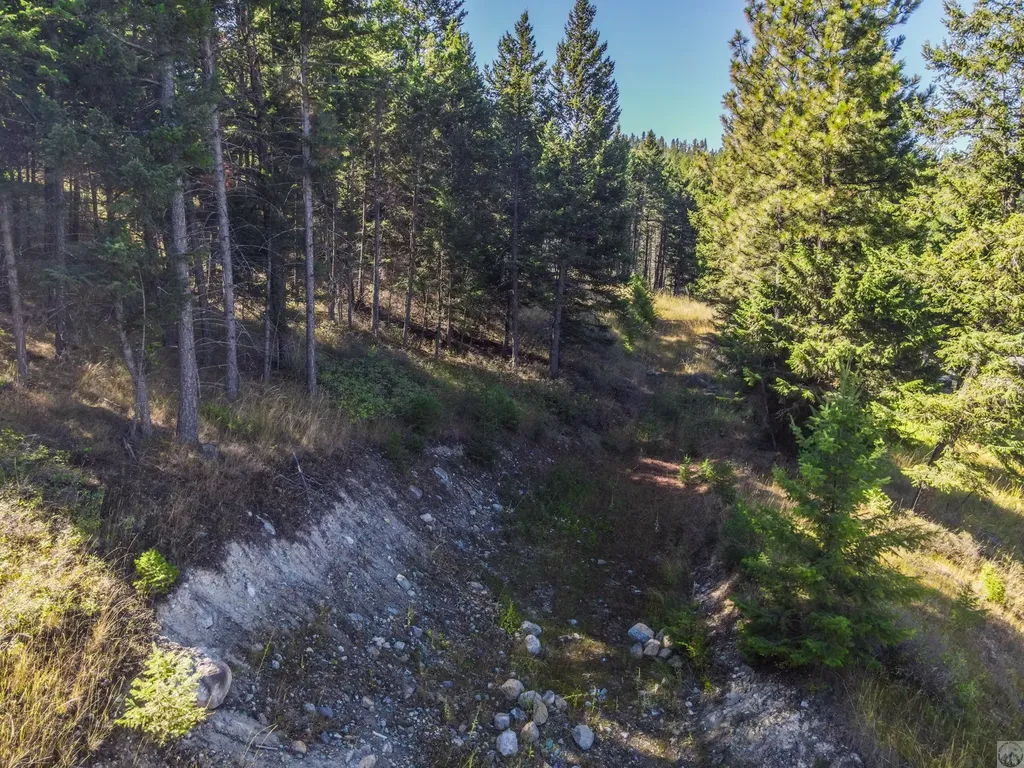 218 Walking Coyote Drive Kalispell MT 59901