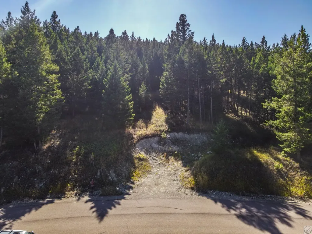218 Walking Coyote Drive Kalispell MT 59901