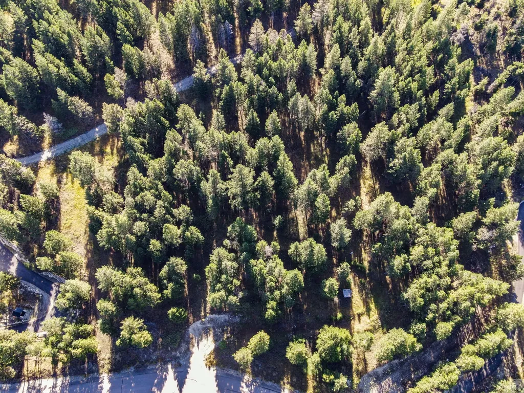 218 Walking Coyote Drive Kalispell MT 59901