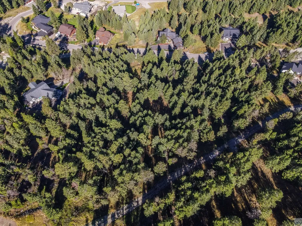 218 Walking Coyote Drive Kalispell MT 59901