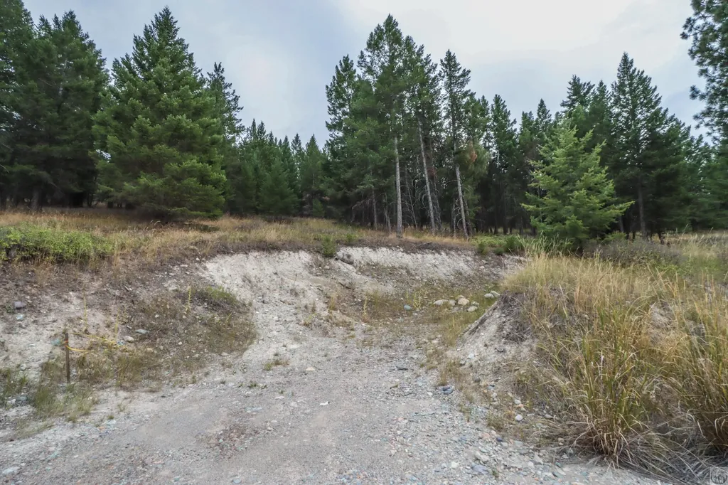 218 Walking Coyote Drive Kalispell MT 59901