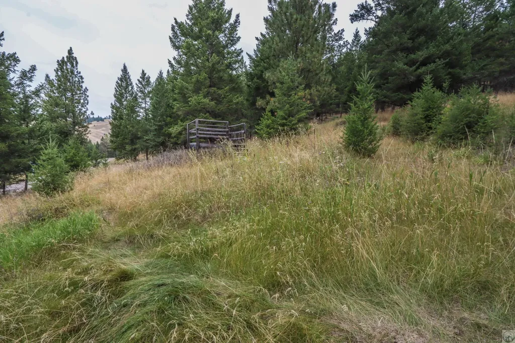 218 Walking Coyote Drive Kalispell MT 59901
