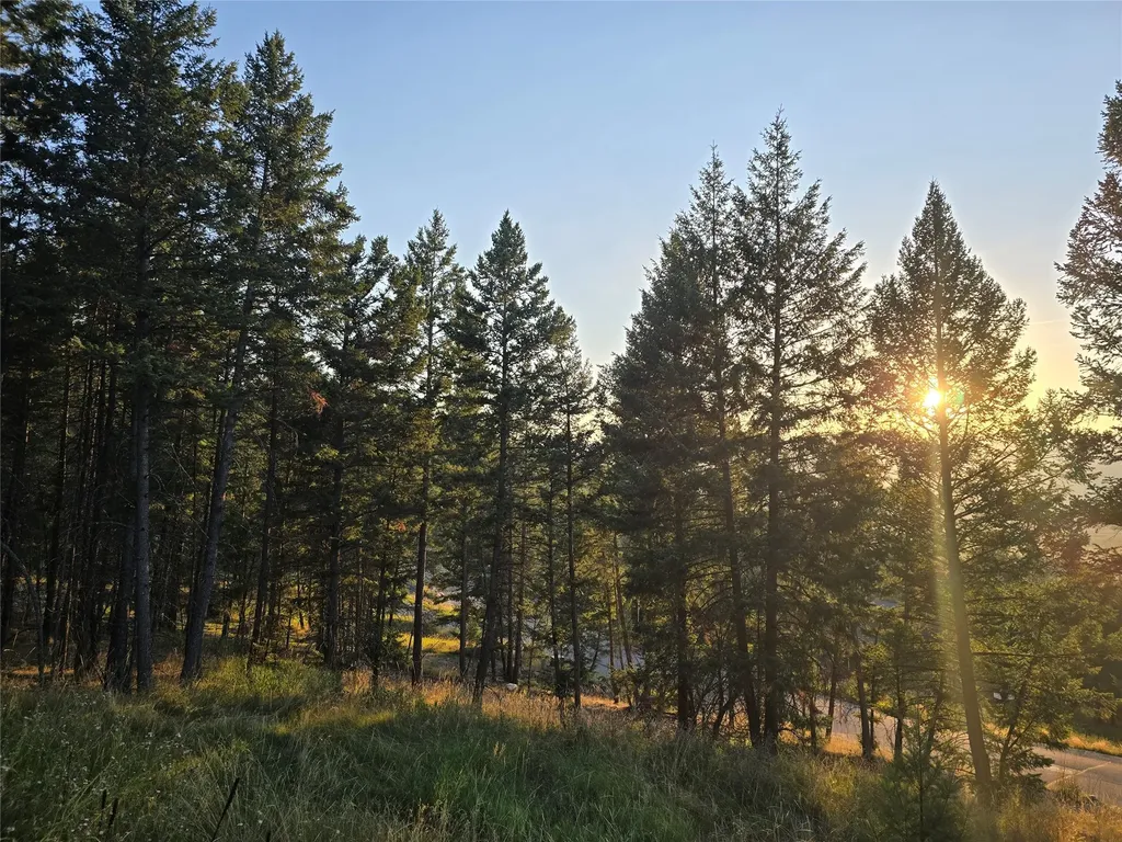 218 Walking Coyote Drive Kalispell MT 59901