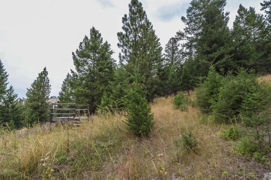 218 Walking Coyote Drive Kalispell MT 59901