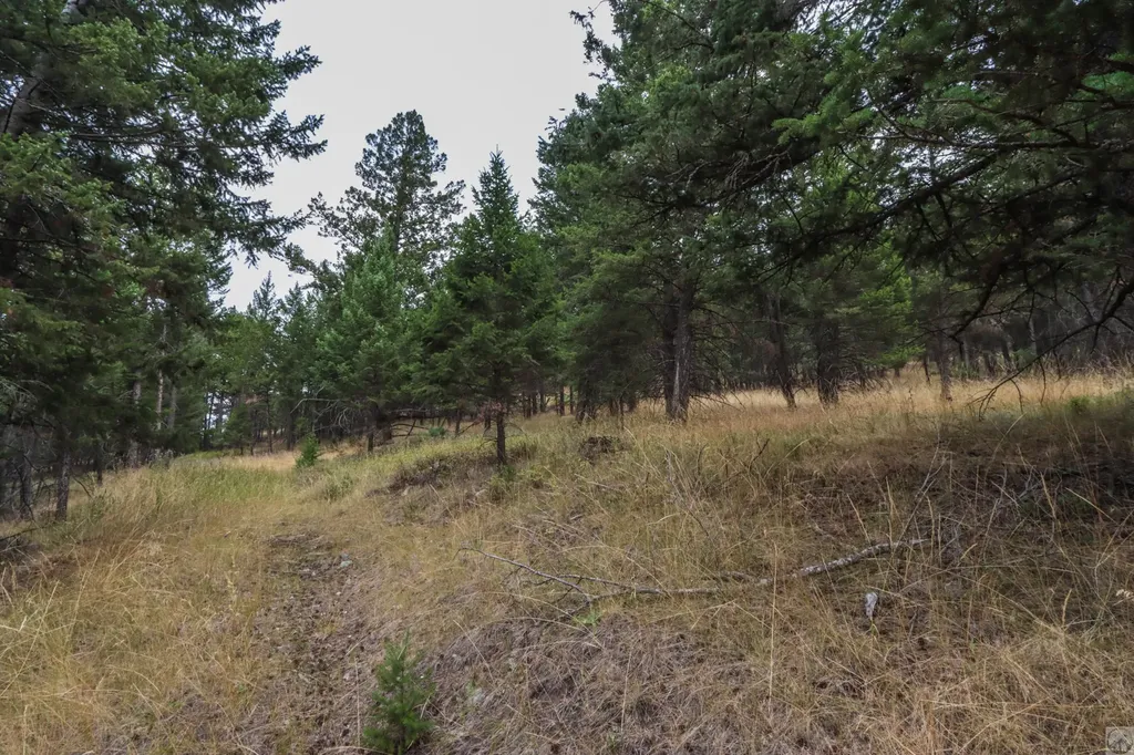218 Walking Coyote Drive Kalispell MT 59901