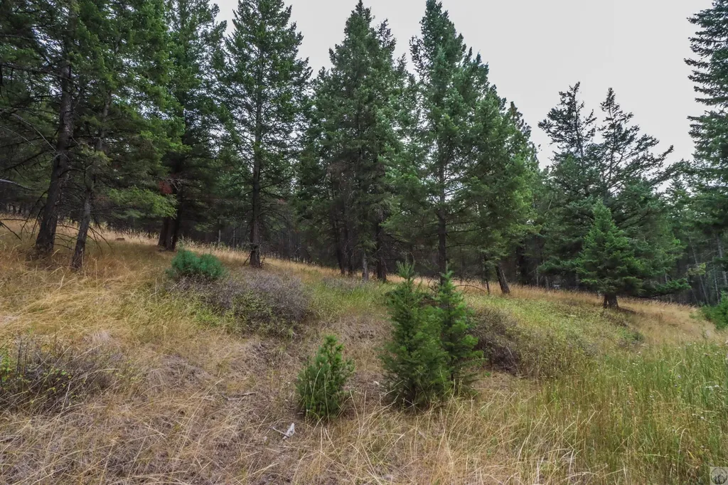 218 Walking Coyote Drive Kalispell MT 59901