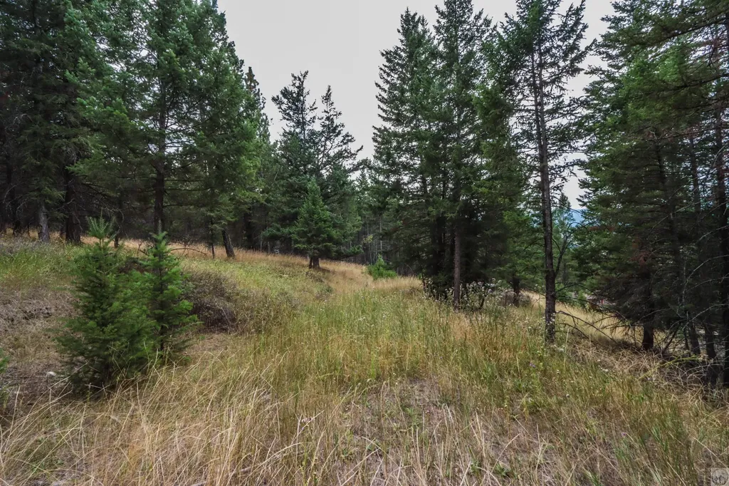 218 Walking Coyote Drive Kalispell MT 59901