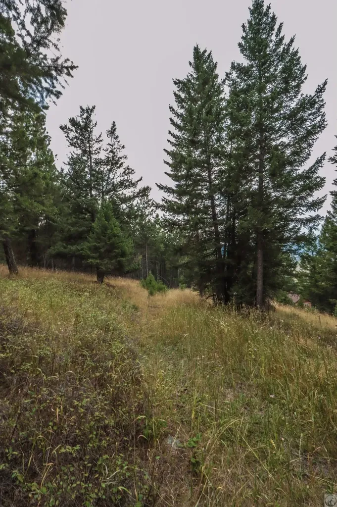 218 Walking Coyote Drive Kalispell MT 59901