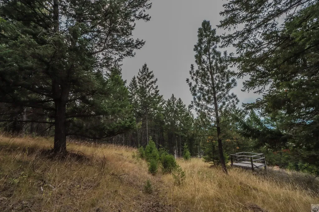218 Walking Coyote Drive Kalispell MT 59901