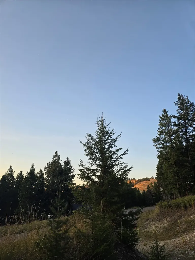 218 Walking Coyote Drive Kalispell MT 59901