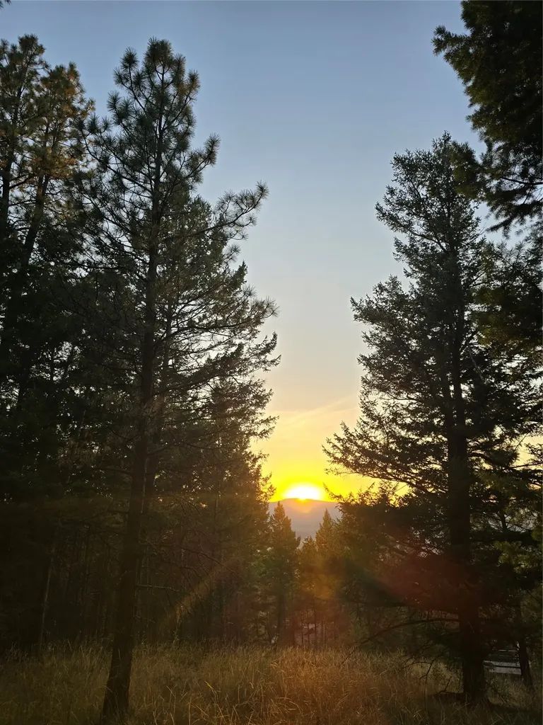 218 Walking Coyote Drive Kalispell MT 59901