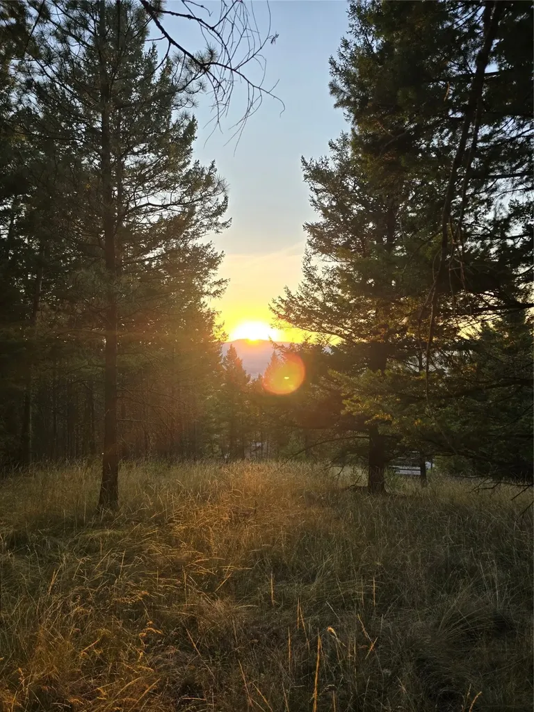 218 Walking Coyote Drive Kalispell MT 59901