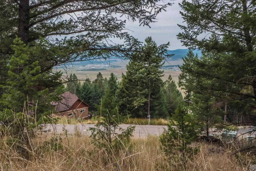 218 Walking Coyote Drive Kalispell MT 59901