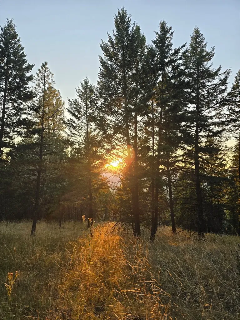 218 Walking Coyote Drive Kalispell MT 59901