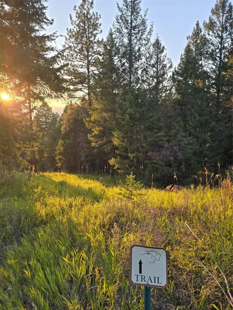 218 Walking Coyote Drive Kalispell MT 59901