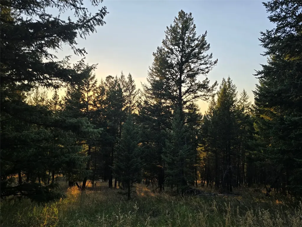 218 Walking Coyote Drive Kalispell MT 59901