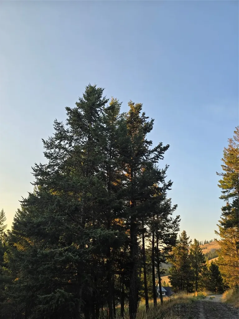 218 Walking Coyote Drive Kalispell MT 59901