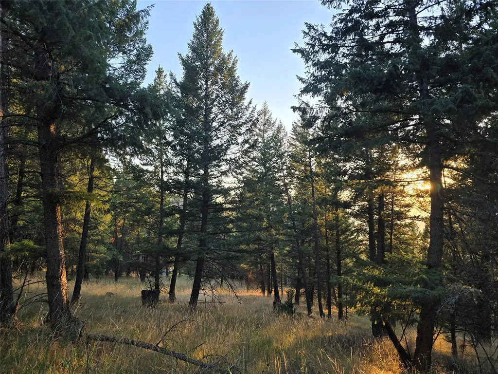 218 Walking Coyote Drive Kalispell MT 59901