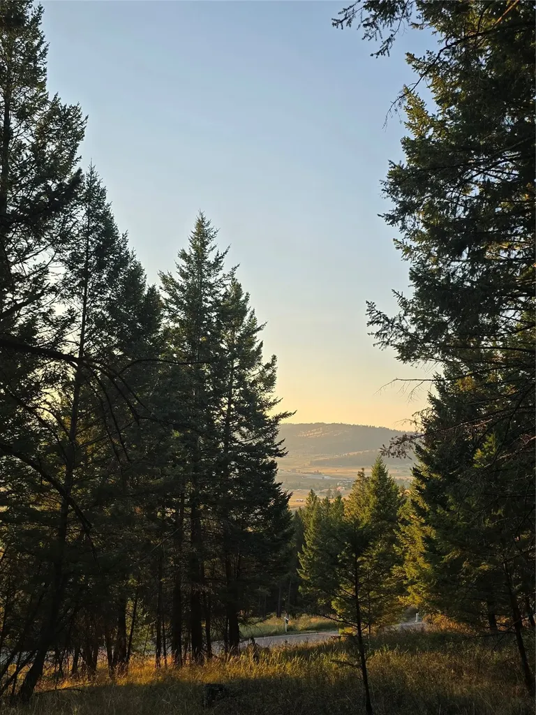 218 Walking Coyote Drive Kalispell MT 59901