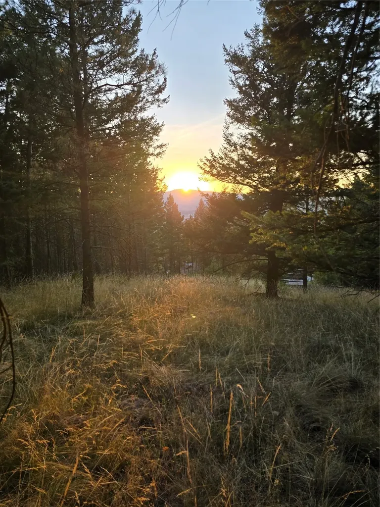 218 Walking Coyote Drive Kalispell MT 59901