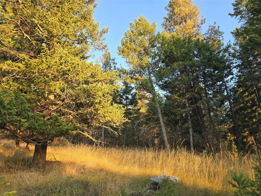 218 Walking Coyote Drive Kalispell MT 59901