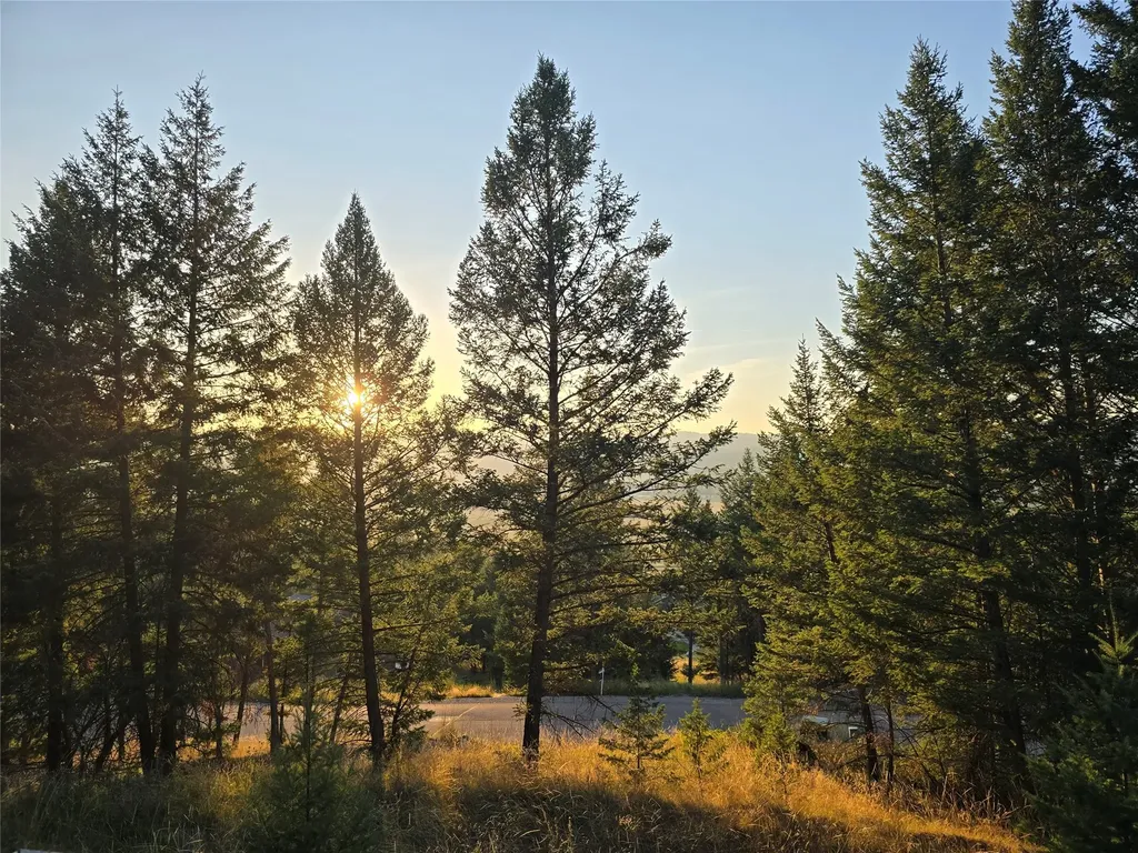 218 Walking Coyote Drive Kalispell MT 59901