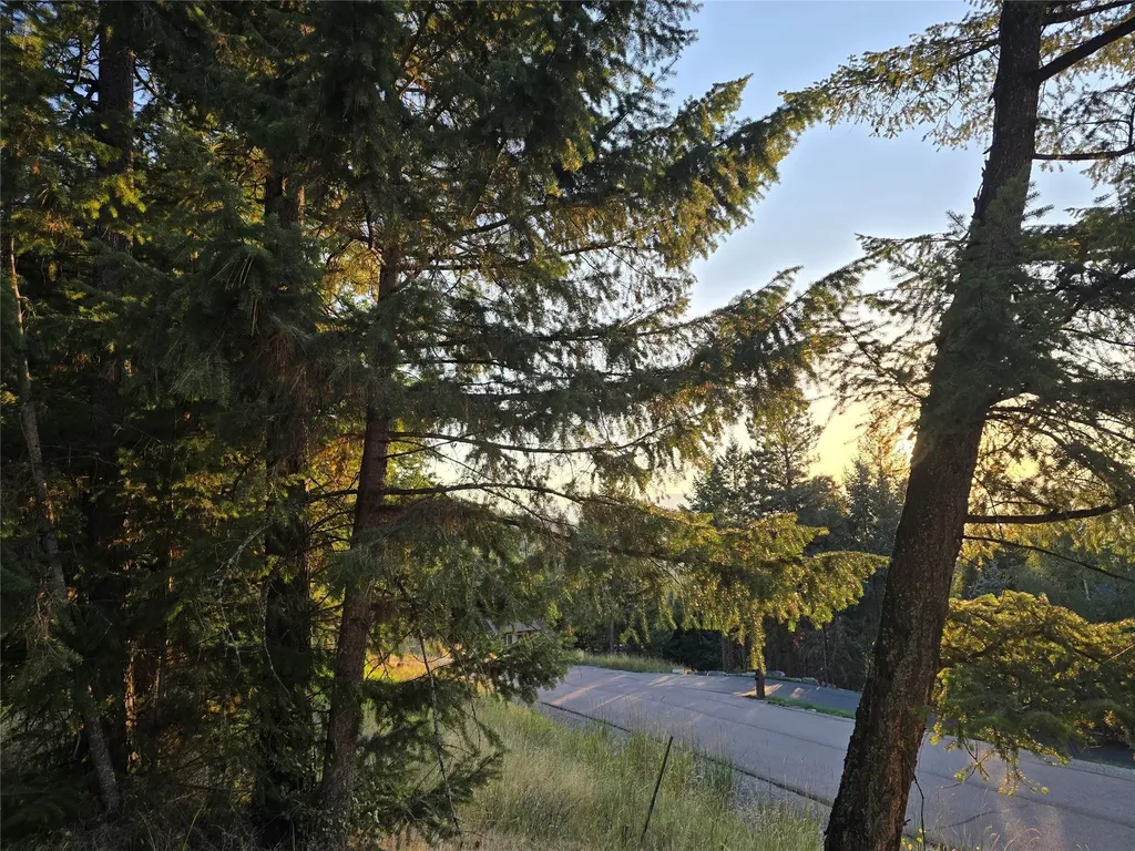 218 Walking Coyote Drive Kalispell MT 59901