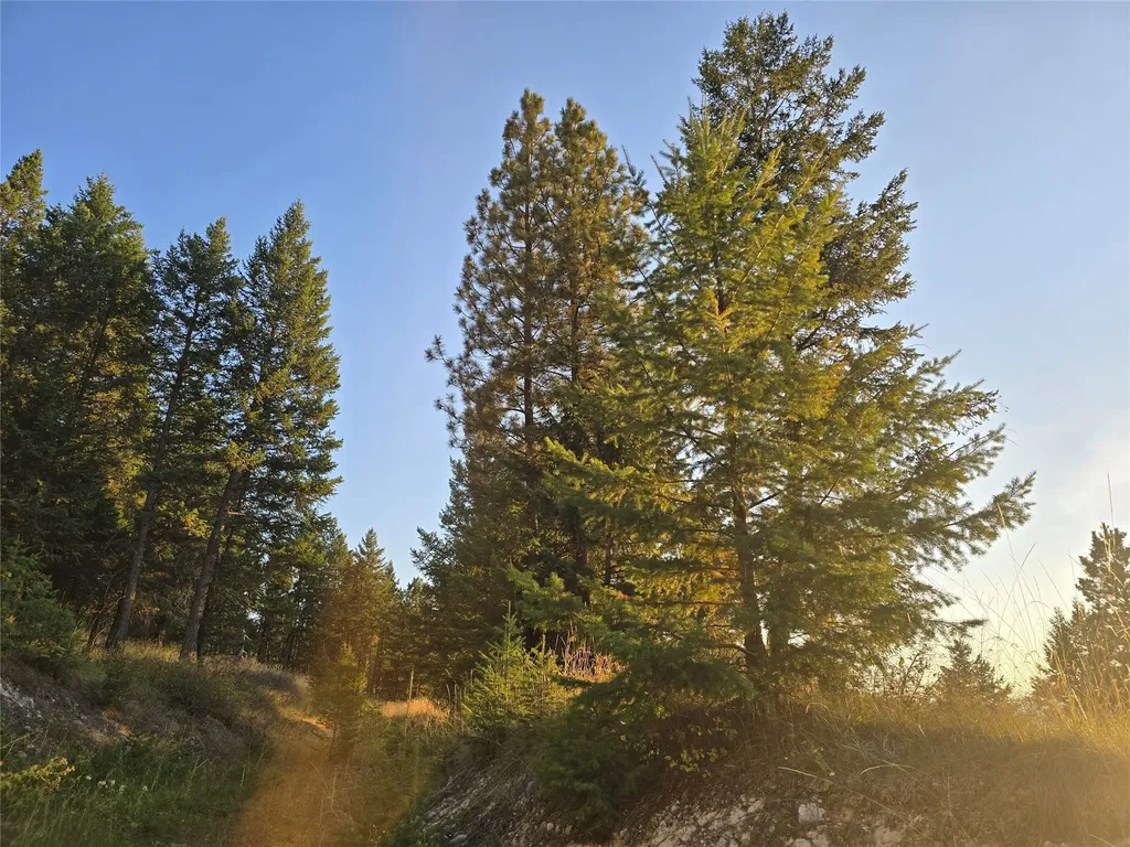 218 Walking Coyote Drive Kalispell MT 59901