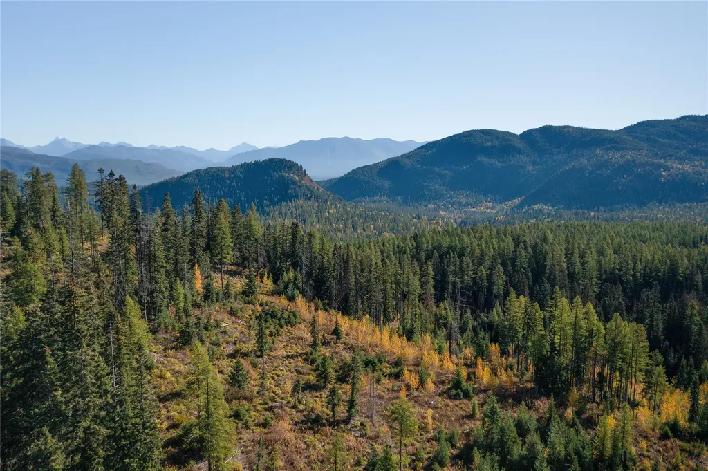 Nhn Kelly Mountain Road Columbia Falls MT 59912