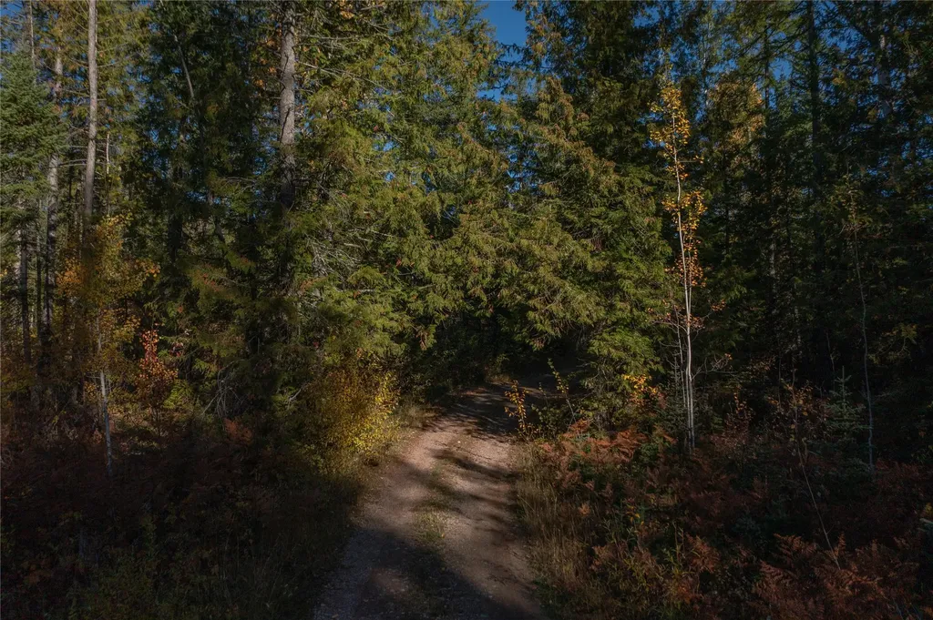 Nhn Kelly Mountain Road Columbia Falls MT 59912
