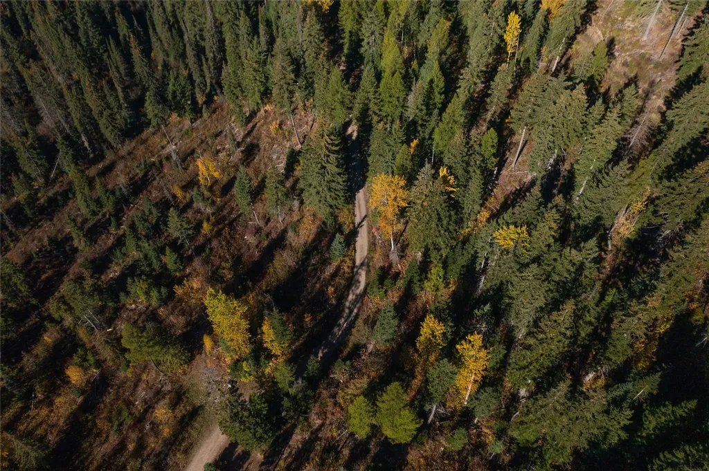 Nhn Kelly Mountain Road Columbia Falls MT 59912
