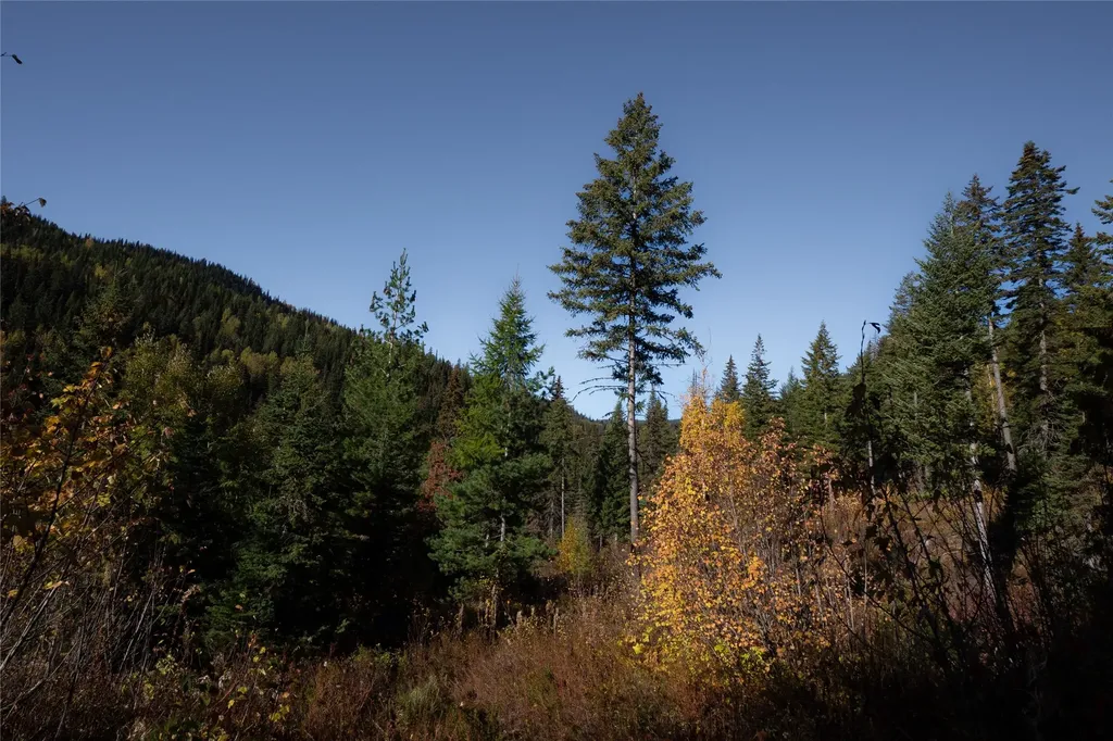 Nhn Kelly Mountain Road Columbia Falls MT 59912