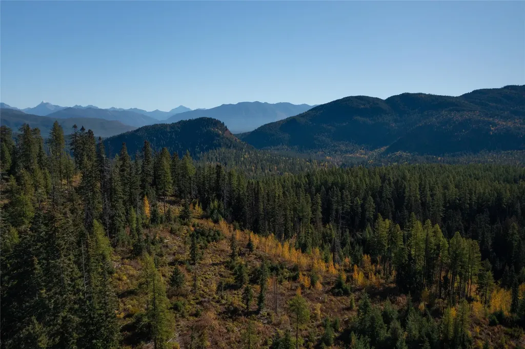 Nhn Kelly Mountain Road Columbia Falls MT 59912