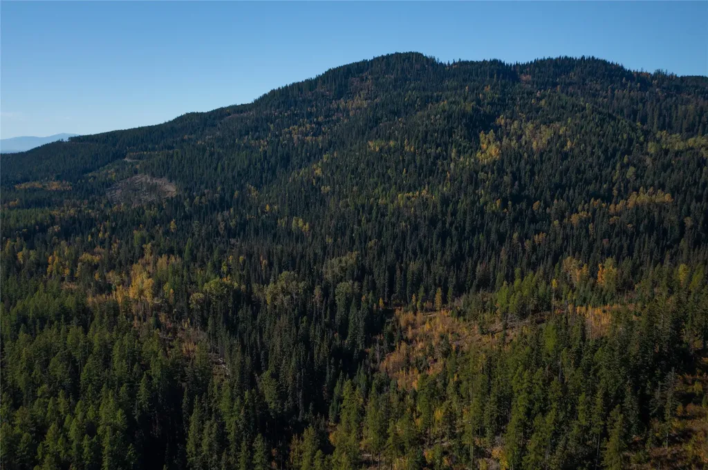Nhn Kelly Mountain Road Columbia Falls MT 59912