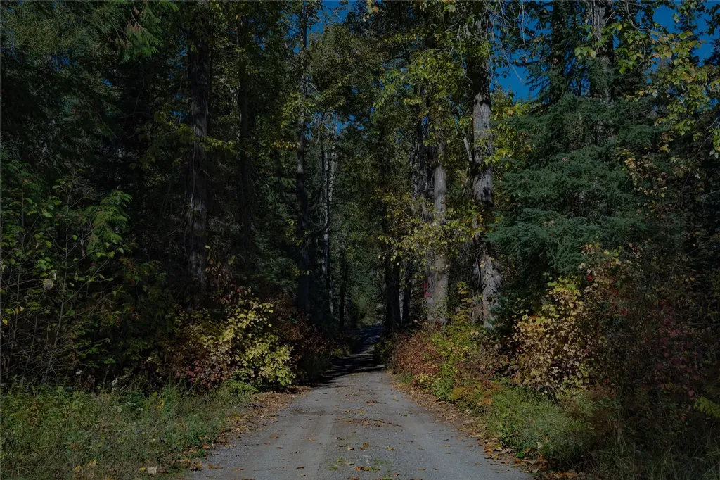 Nhn Kelly Mountain Road Columbia Falls MT 59912