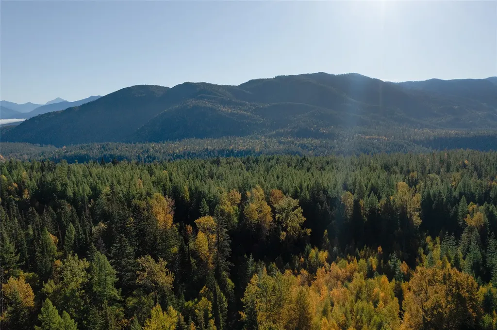 Nhn Kelly Mountain Road Columbia Falls MT 59912