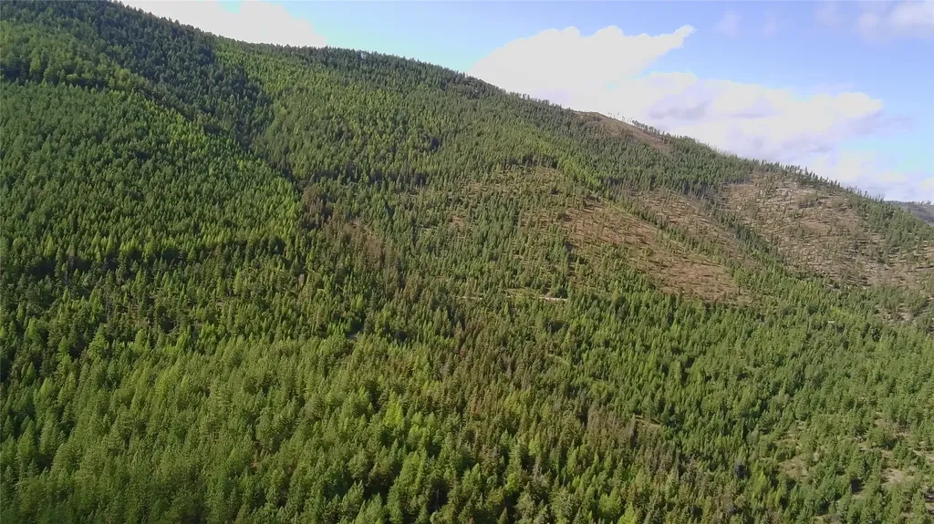 Nhn W Fork Combest Creek Road Plains MT 59859