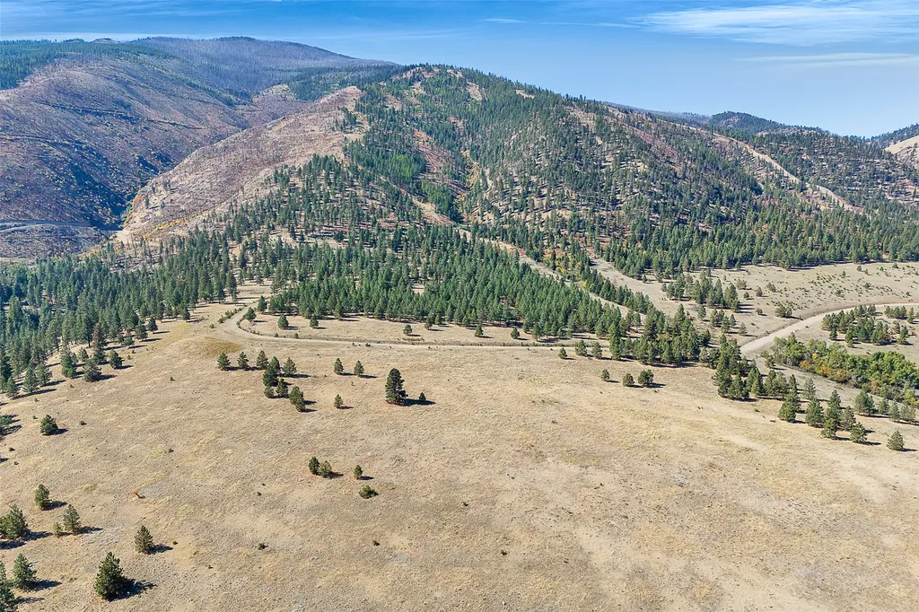 000 Elk Mountain Reserve Florence MT 59833