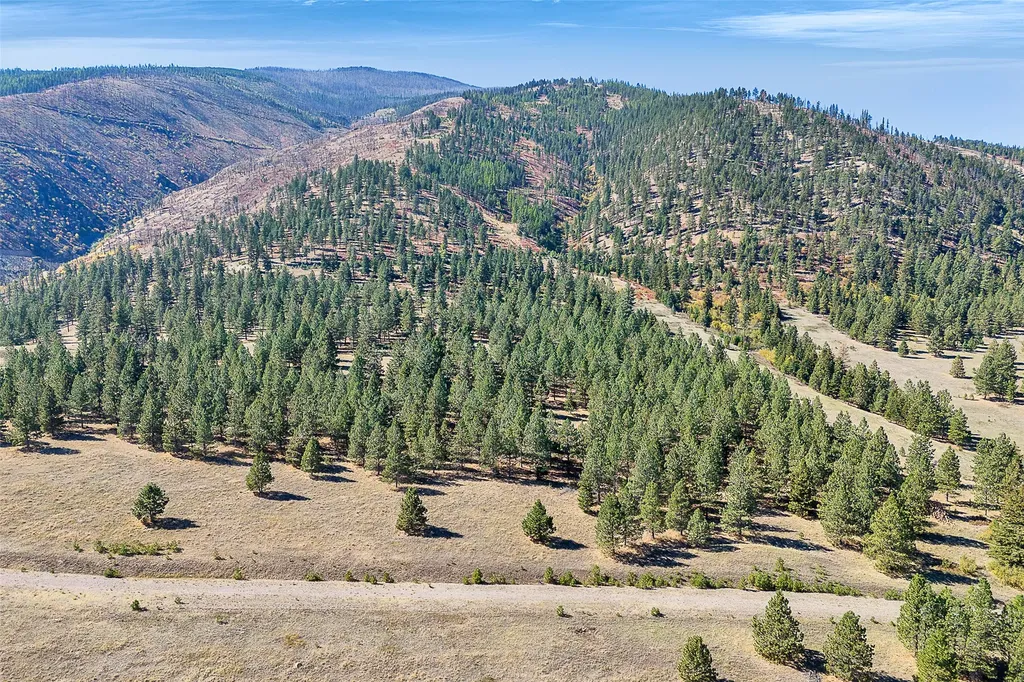 000 Elk Mountain Reserve Florence MT 59833