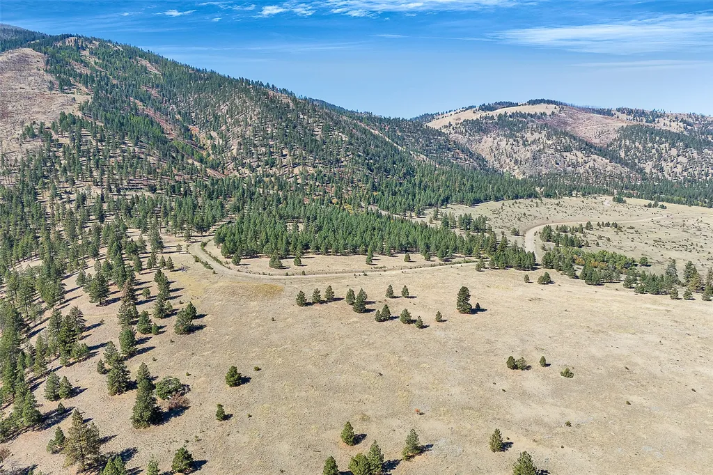 000 Elk Mountain Reserve Florence MT 59833
