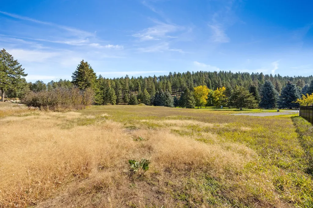 351 Chapman Lane Bigfork MT 59911