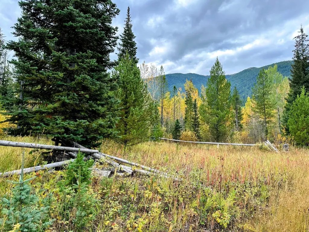 Nhn Giefer Creek Road Essex MT 59916