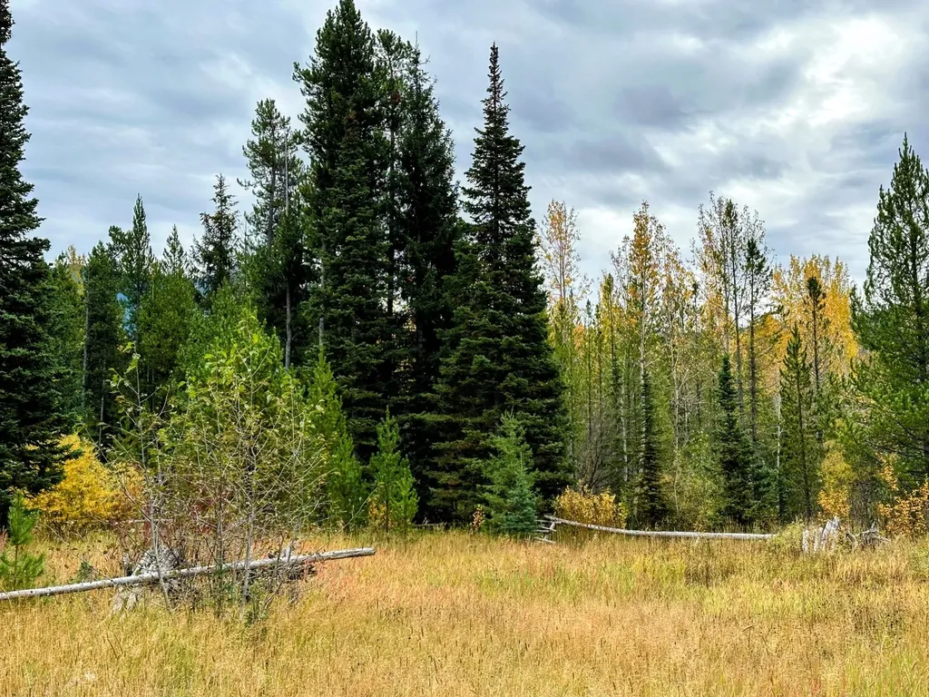 Nhn Giefer Creek Road Essex MT 59916