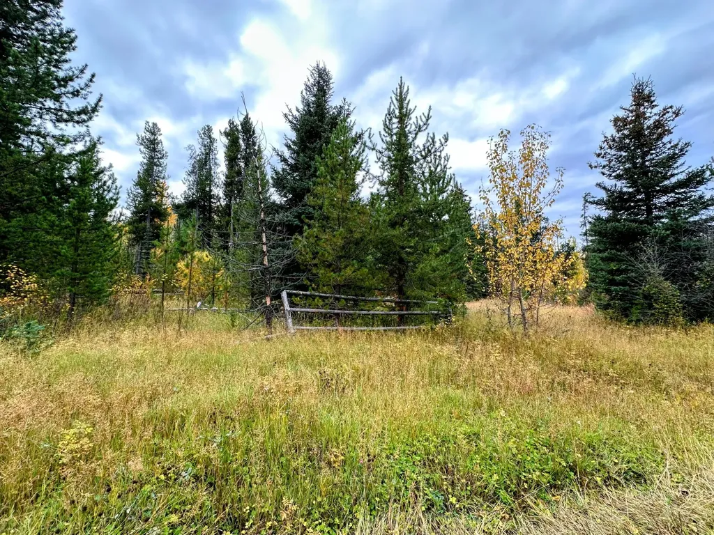 Nhn Giefer Creek Road Essex MT 59916