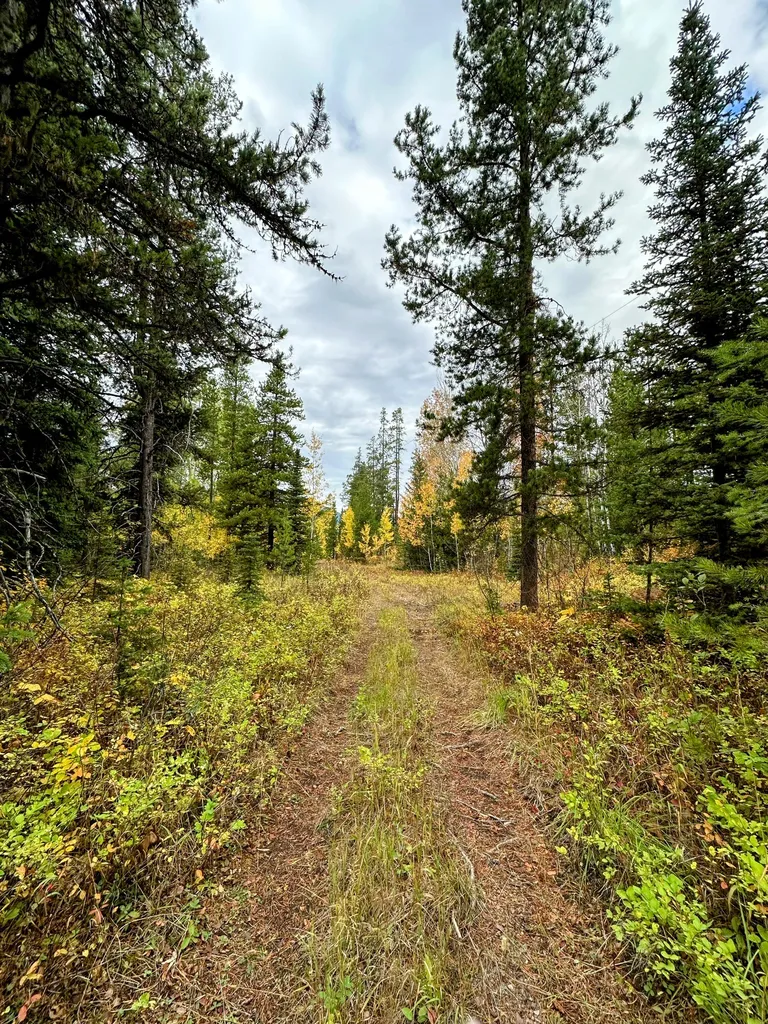 Nhn Giefer Creek Road Essex MT 59916
