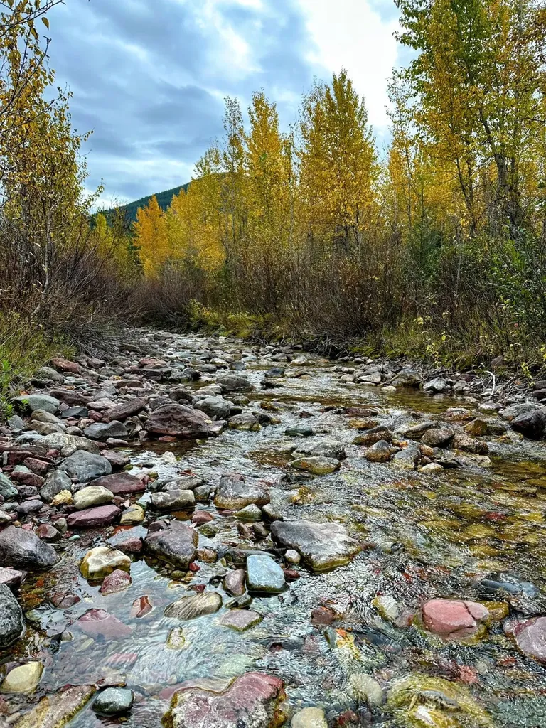 Nhn Giefer Creek Road Essex MT 59916
